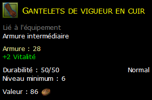 Gantelets de vigueur en cuir