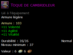 Toque de cambrioleur