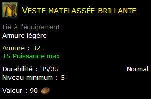 Veste matelassée brillante