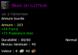 Bras du Lutteur