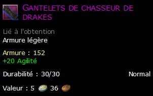 Gantelets de chasseur de drakes