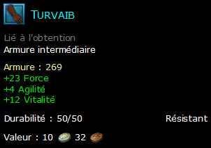 Turvaib