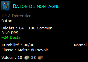 Bâton de montagne