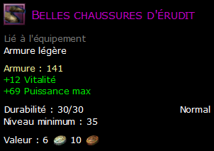 Belles chaussures d'érudit