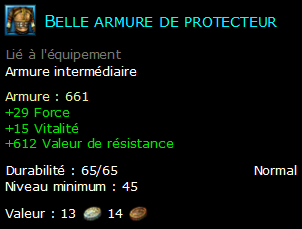 Belle armure de protecteur