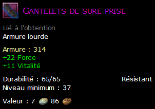 Gantelets de sure prise