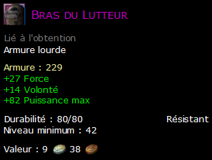 Bras du Lutteur