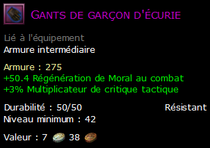 Gants de garçon d'écurie