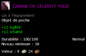 Canine de célérité polie