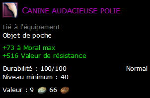 Canine audacieuse polie