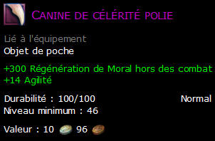 Canine de célérité polie