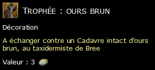 Trophée : ours brun