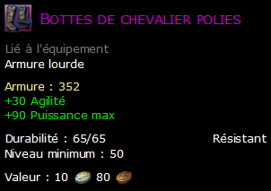 Bottes de chevalier polies