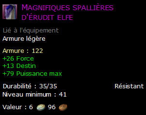 Magnifiques spallières d'érudit elfe