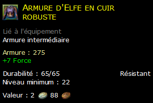 Armure d'Elfe en cuir robuste