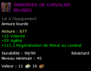 Jambières de chevalier brunies