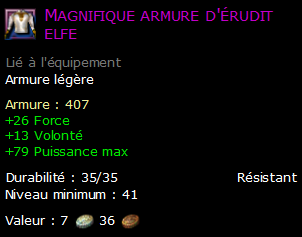 Magnifique armure d'érudit elfe