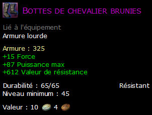 Bottes de chevalier brunies