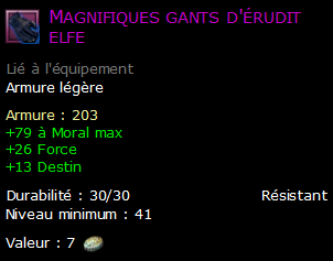 Magnifiques gants d'érudit elfe