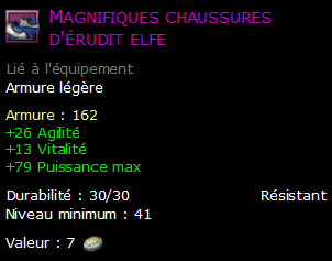 Magnifiques chaussures d'érudit elfe