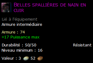 Belles spallières de nain en cuir