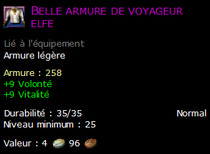 Belle armure de voyageur elfe