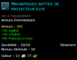 Magnifiques bottes de protecteur elfe