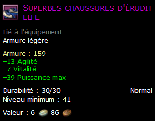 Superbes chaussures d'érudit elfe