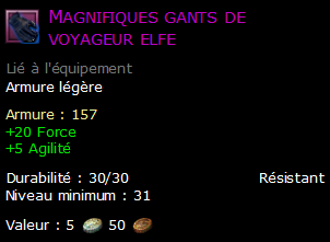 Magnifiques gants de voyageur elfe