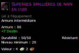 Superbes spallières de nain en cuir