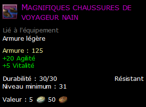 Magnifiques chaussures de voyageur nain