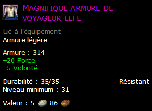 Magnifique armure de voyageur elfe