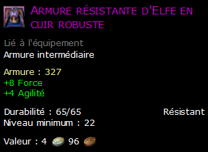 Armure résistante d'Elfe en cuir robuste