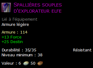 Spallières souples d'explorateur elfe