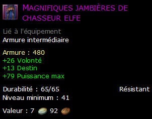 Magnifiques jambières de chasseur elfe