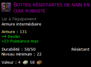 Bottes résistantes de nain en cuir robuste