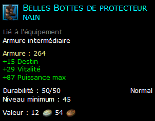 Belles Bottes de protecteur nain