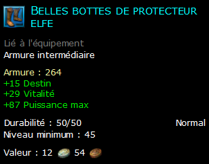 Belles bottes de protecteur elfe