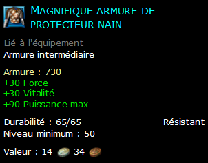 Magnifique armure de protecteur nain