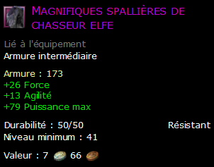 Magnifiques spallières de chasseur elfe