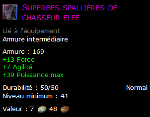 Superbes spallières de chasseur elfe