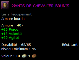 Gants de chevalier brunis