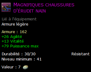 Magnifiques chaussures d'érudit nain