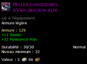 Belles chaussures d'explorateur elfe