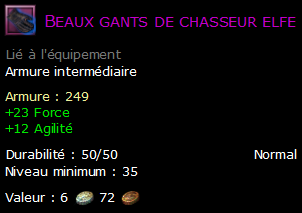 Beaux gants de chasseur elfe