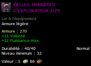 Belles jambières d'explorateur elfe