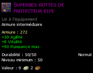 Superbes bottes de protecteur elfe