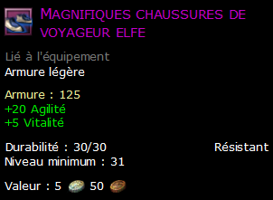 Magnifiques chaussures de voyageur elfe