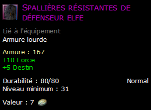 Spallières résistantes de défenseur elfe