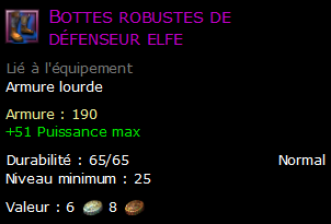 Bottes robustes de défenseur elfe